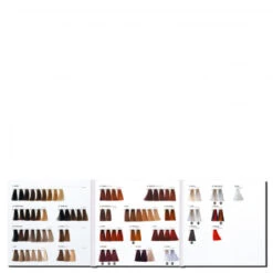 PREVIA Virtuous Colour Farbkarte -Kosmetikgeschäft 0371270 PREVIA Virtuous Colour Farbkarte.342161ea