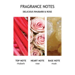 MOLTON BROWN Delicious Rhubarb & Rose Hand Cream 40 Ml 9 MOLTON BROWN Delicious Rhubarb & Rose Hand Cream 40 Ml -Kosmetikgeschäft 1422979 MOLTON BROWN Delicious Rhubarb Rose Hand Cream 40 ml.3c5e06e0