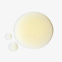 Transparent Lab Gentle Rejuvenation Serum 30 Ml 14 Transparent Lab Gentle Rejuvenation Serum 30 Ml -Kosmetikgeschäft 1431811 Transparent Lab Gentle Rejuvenation Serum 30 ml.11a040b1