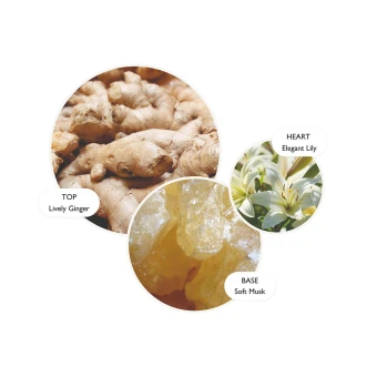 MOLTON BROWN Heavenly Gingerlily Hand Care Gift Set 6 MOLTON BROWN Heavenly Gingerlily Hand Care Gift Set – Bild 4