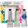 L'Occitane Handcreme Trio Frühling 2023 1 L'Occitane Handcreme Trio Frühling 2023 -Kosmetikgeschäft 2545101 L Occitane Handcreme Trio Fruehling 2023.0437e2dd