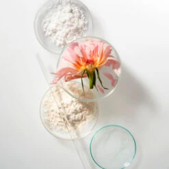 NOBLE PANACEA THE ELEMENTAL Cleansing Balm And Exfoliating Refiner Refill Pro Packung 30 Stück 13 NOBLE PANACEA THE ELEMENTAL Cleansing Balm And Exfoliating Refiner Refill Pro Packung 30 Stück -Kosmetikgeschäft 2580667 NOBLE PANACEA THE ELEMENTAL Cleansing Balm and Exfoliating Refiner Refill Pro Packung 30 St.2ccbb147